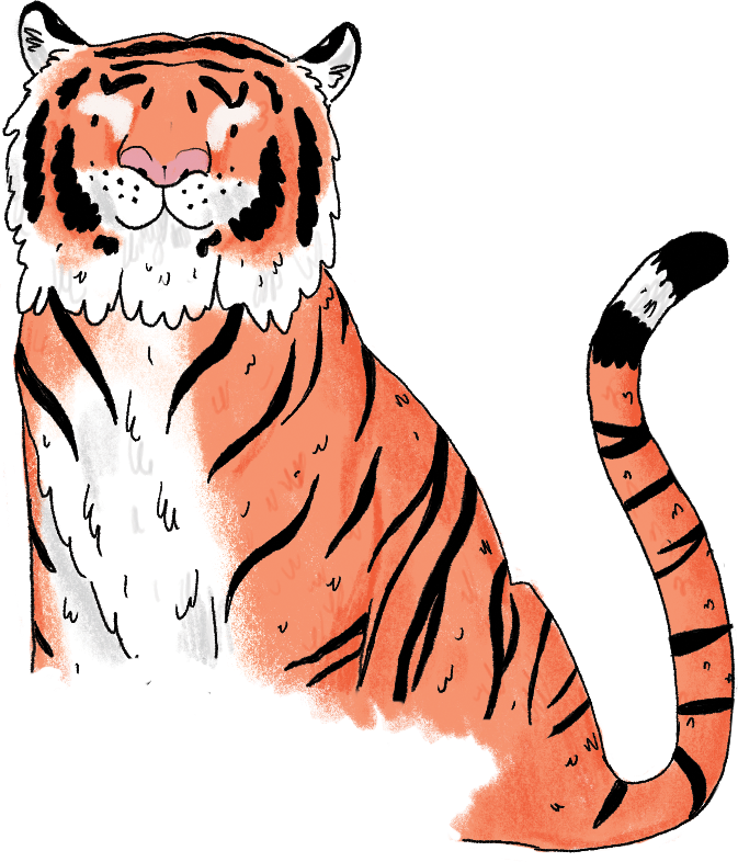 A smiling tiger